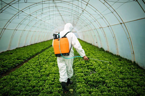 Best Commercial Pest Control Services  in Monrovia, MD