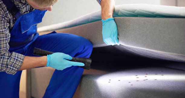 Flea Control Services in Monrovia, MD